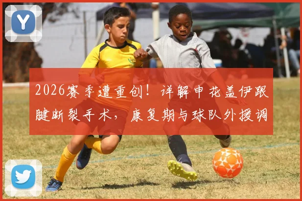 2026赛季遭重创!详解申花盖伊跟腱断裂手术,康复期与球队外援调整策略前瞻